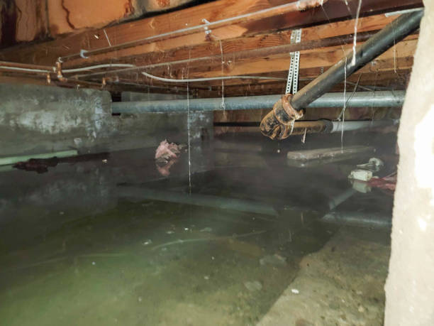 Best Sewage cleanup and water damage restoration  in Keshore, LA