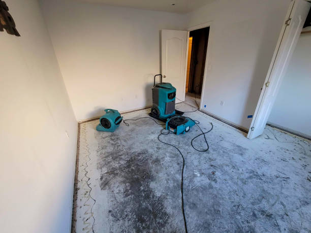 Water damage restoration process in LA