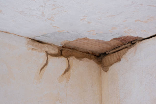 Best Water damage restoration services  in Keshore, LA