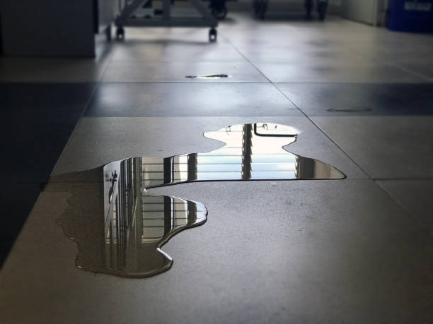 Best Professional water damage repair  in Keshore, LA