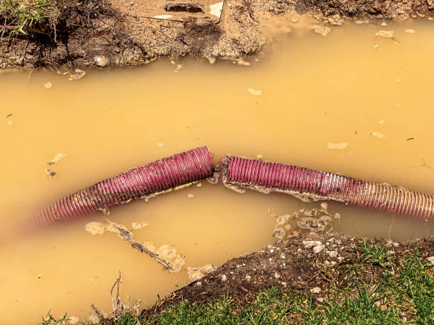 Best Mold removal after water damage  in Keshore, LA